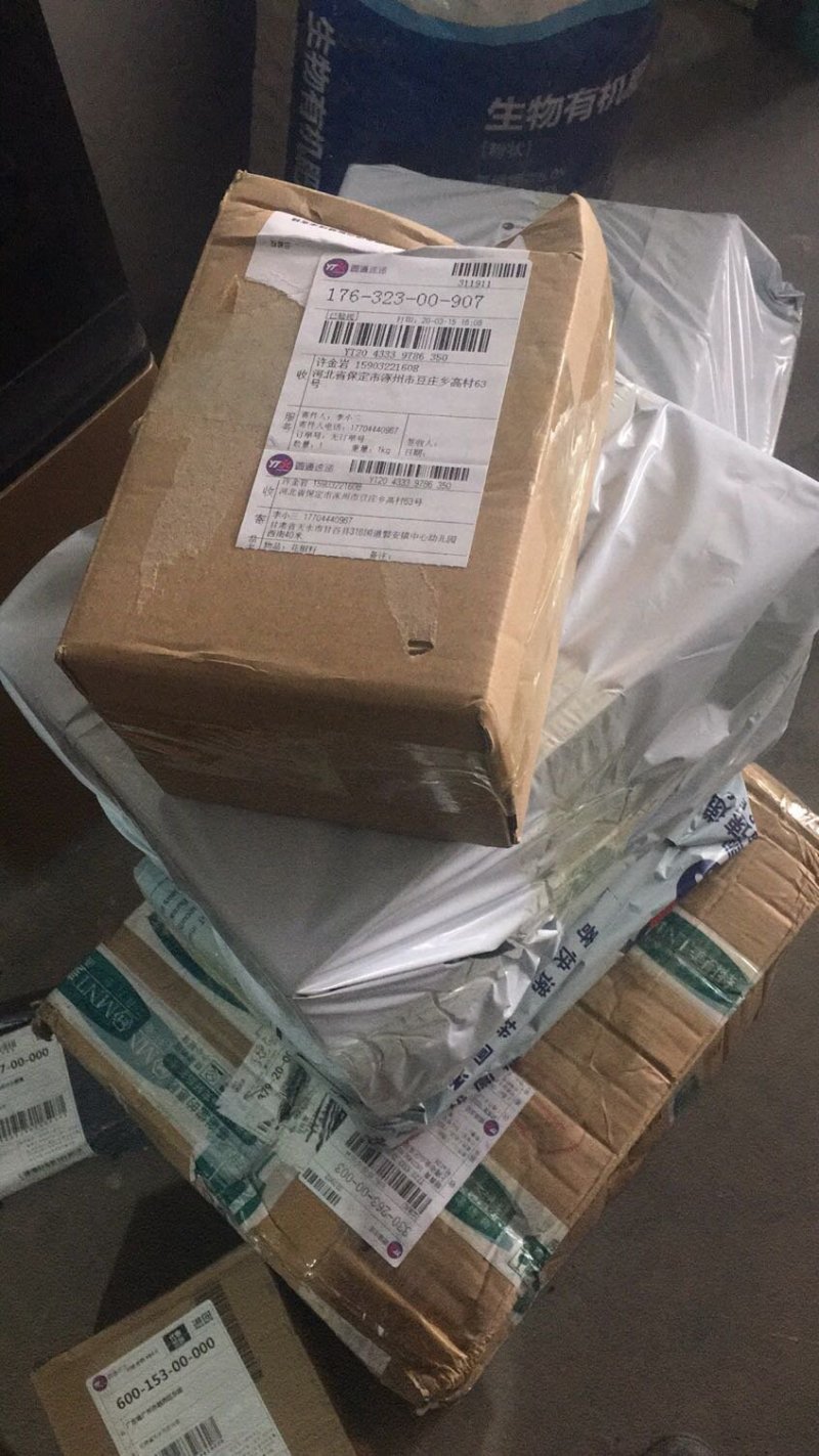 甘肃油菜籽优质菜籽，播种发芽率高，颗粒饱满，窄油产量高