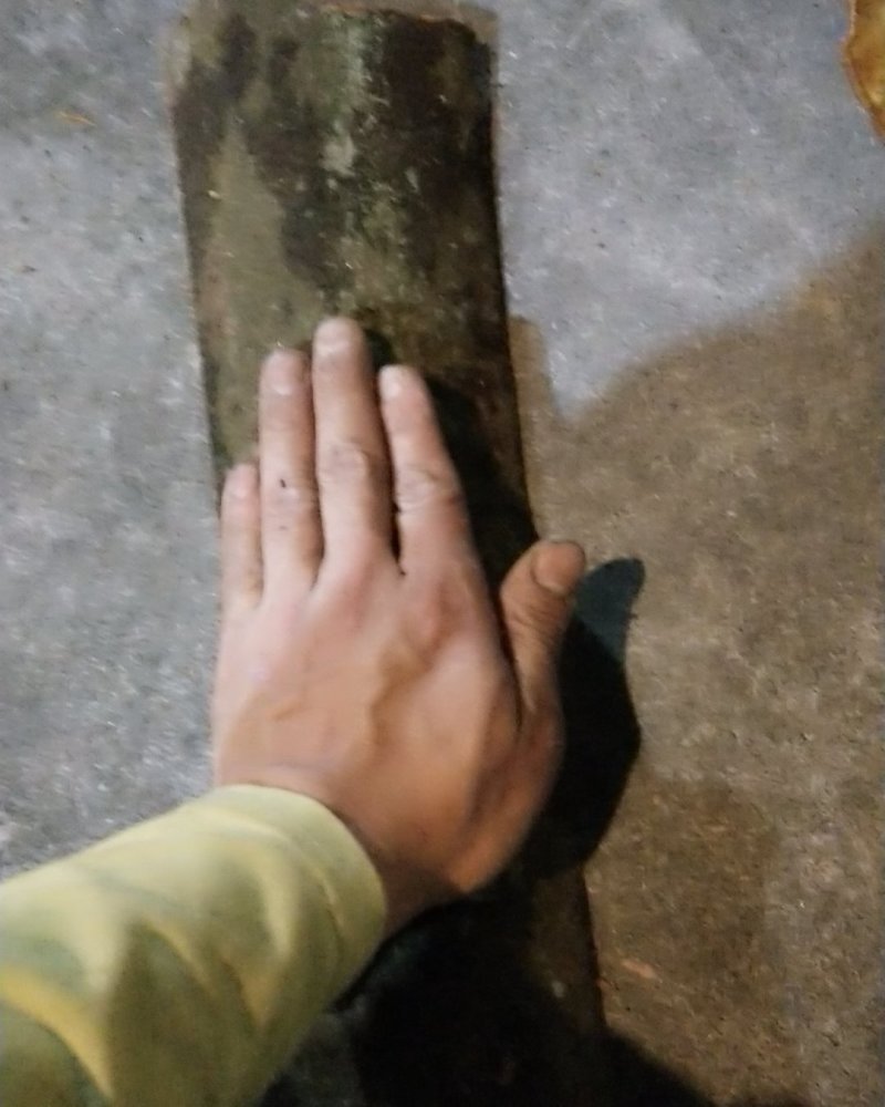 桂板出售半个月干了