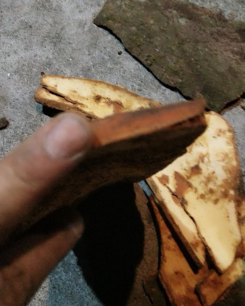桂板出售半个月干了