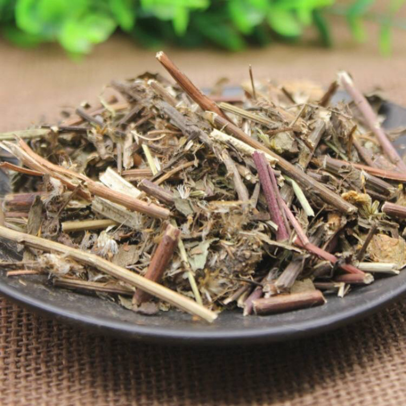一枝黄花一支黄花黄花草满山草老虎尿百草根