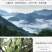 云南特产凤庆滇红茶龙珠滇红茶龙珠滇红茶一颗一泡