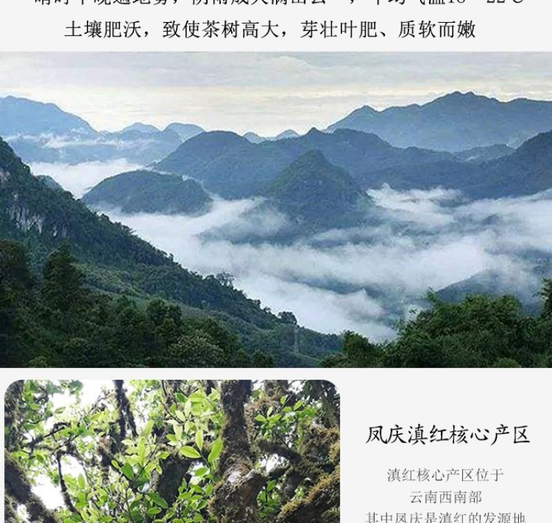 云南特产凤庆滇红茶龙珠滇红茶龙珠滇红茶一颗一泡