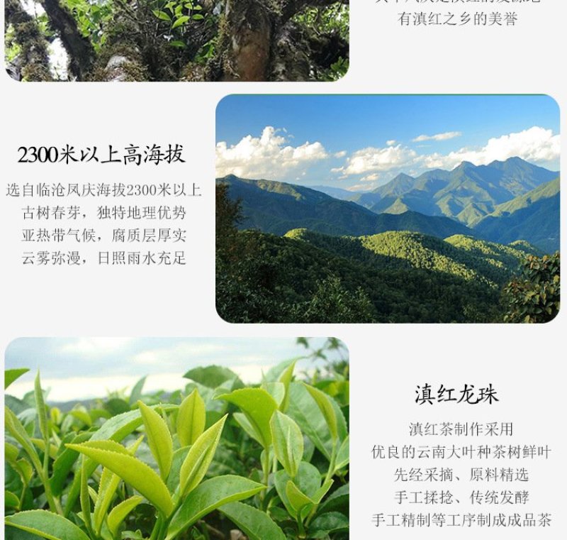 云南特产凤庆滇红茶龙珠滇红茶龙珠滇红茶一颗一泡