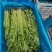 精品芹菜，保质保量诚信经营，量大从优全国代发