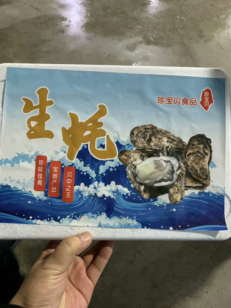 大连生蚝，牡蛎，海蛎子，小件包装五百件起发