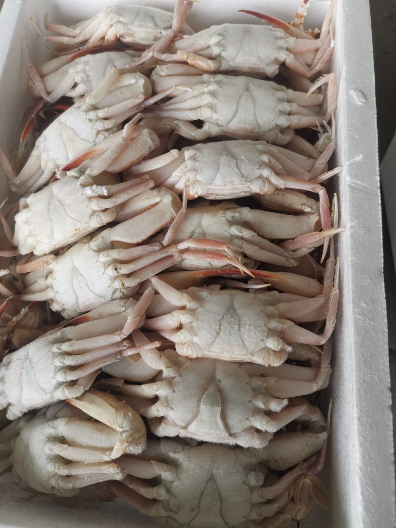 螃蟹红蟹肉蟹，香辣蟹，酒店自自助餐都可以用