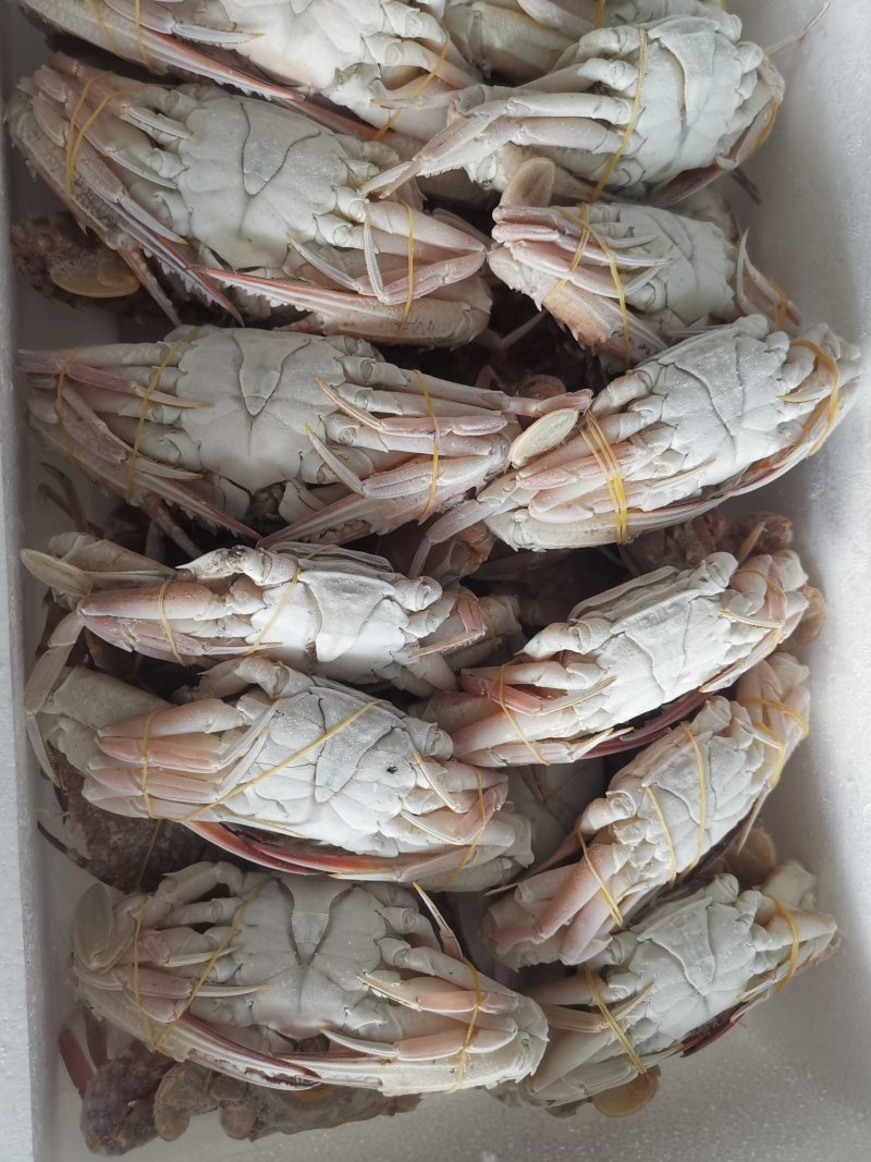 螃蟹红蟹肉蟹，香辣蟹，酒店自自助餐都可以用