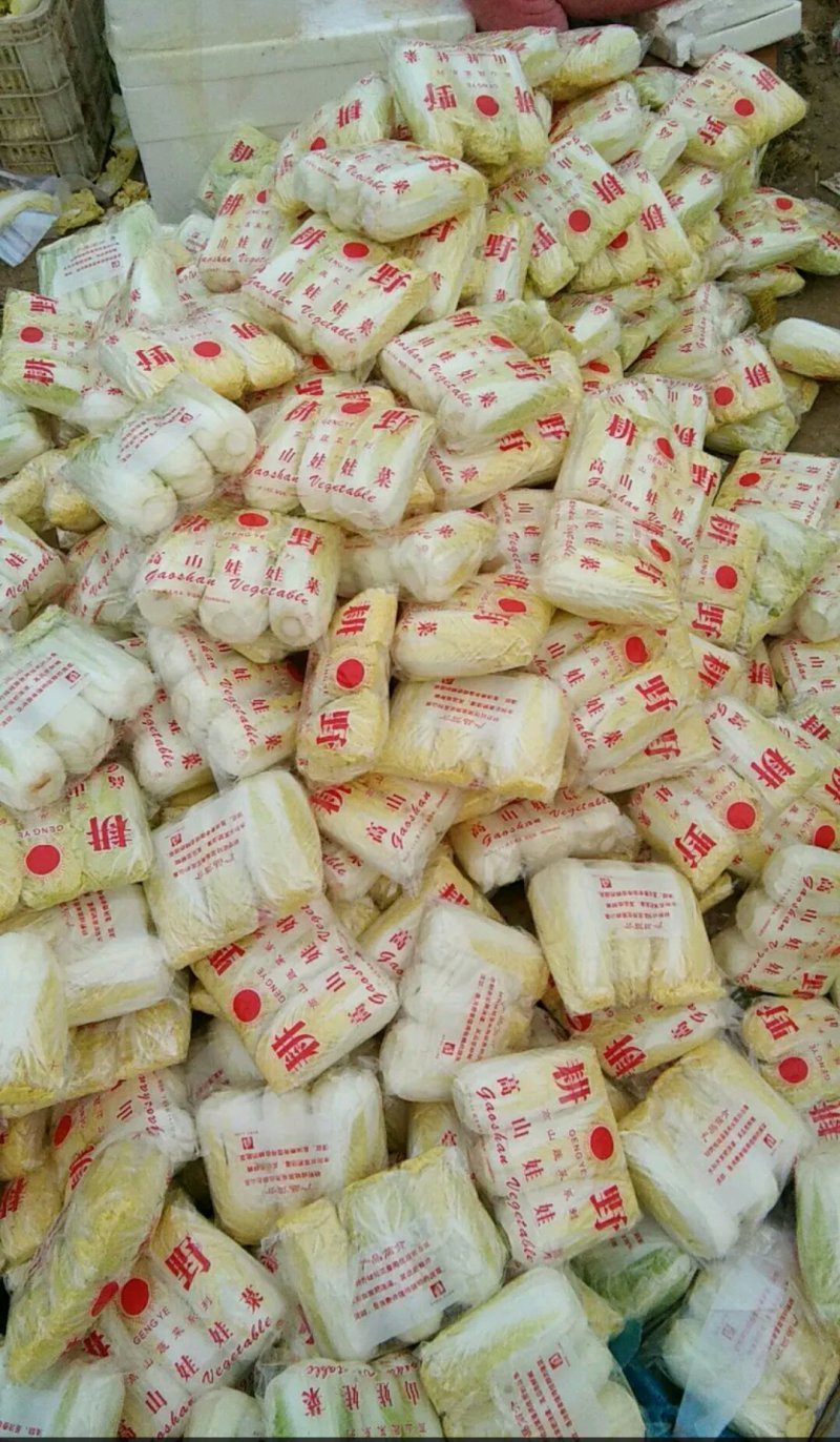 精品黄心白菜精品基地直发量大从优品质保障可视频看货