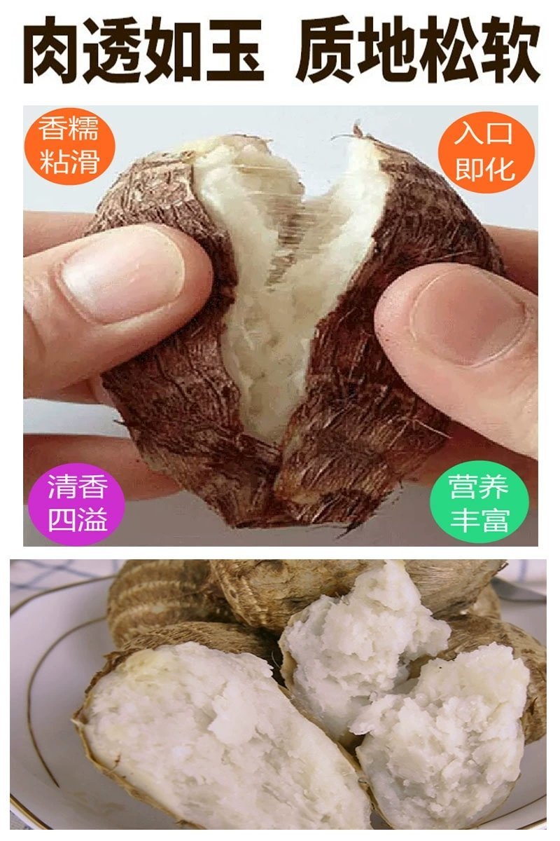 芋头实发5斤装山东农家产地新鲜直供蔬菜毛山芋软糯【预售】