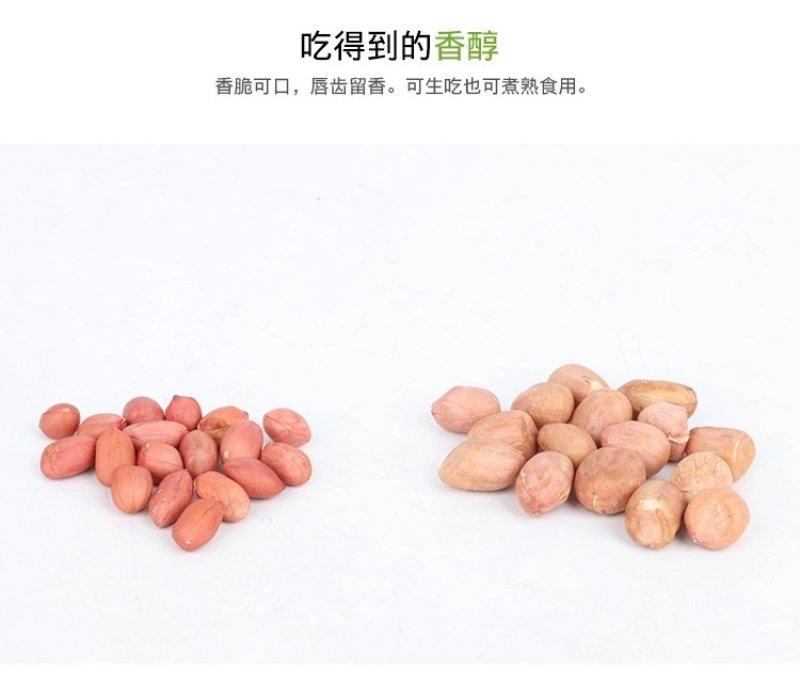山东大粒花生米5斤新生散装农家自产手工剥新货去壳生花生