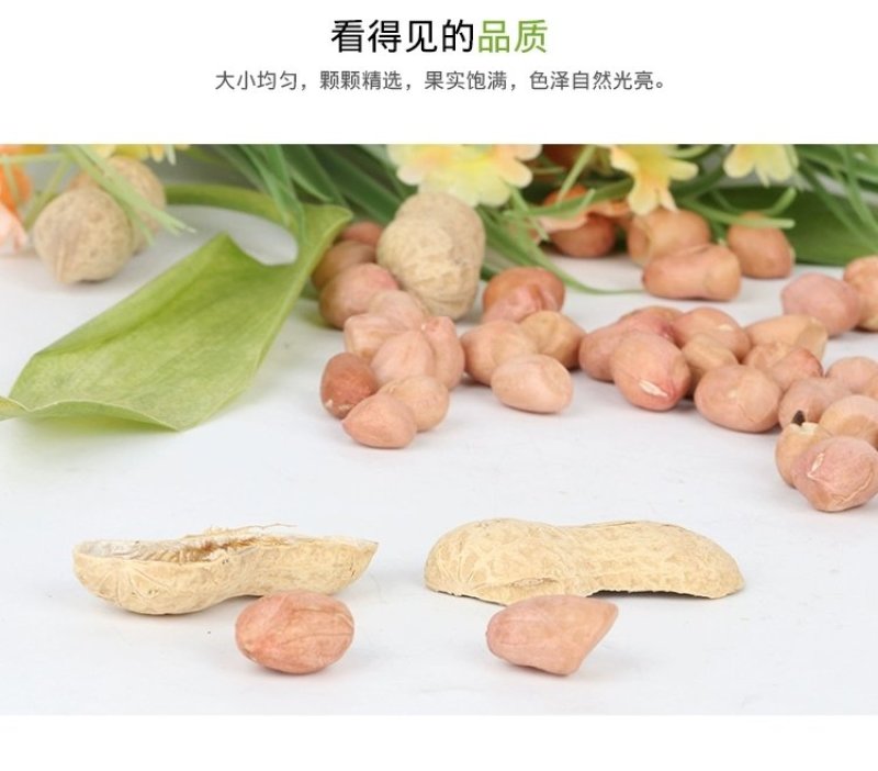 山东大粒花生米5斤新生散装农家自产手工剥新货去壳生花生