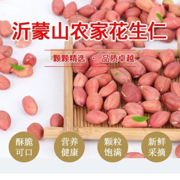 山东大粒花生米5斤新生散装农家自产手工剥新货去壳生花生