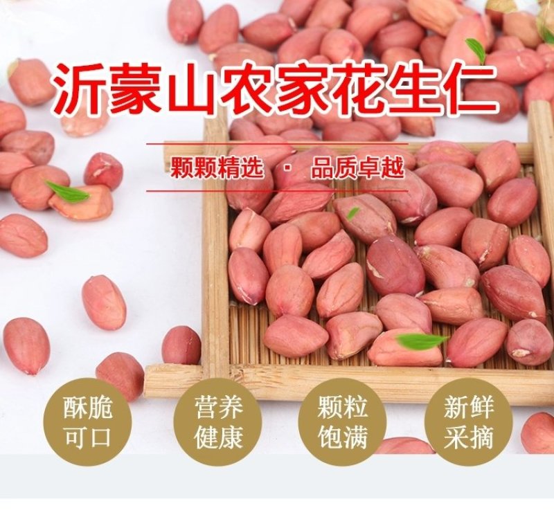 山东大粒花生米5斤新生散装农家自产手工剥新货去壳生花生