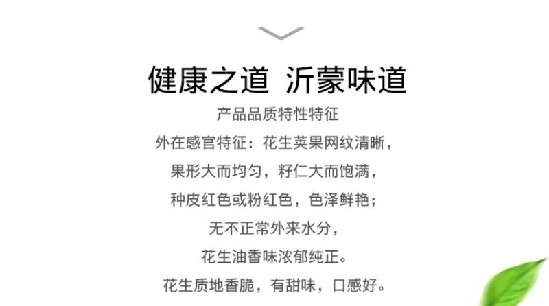 山东大粒花生米5斤新生散装农家自产手工剥新货去壳生花生