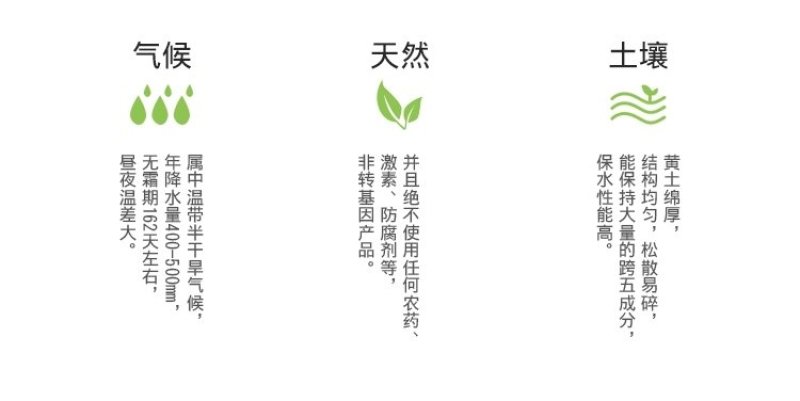 山东大粒花生米5斤新生散装农家自产手工剥新货去壳生花生