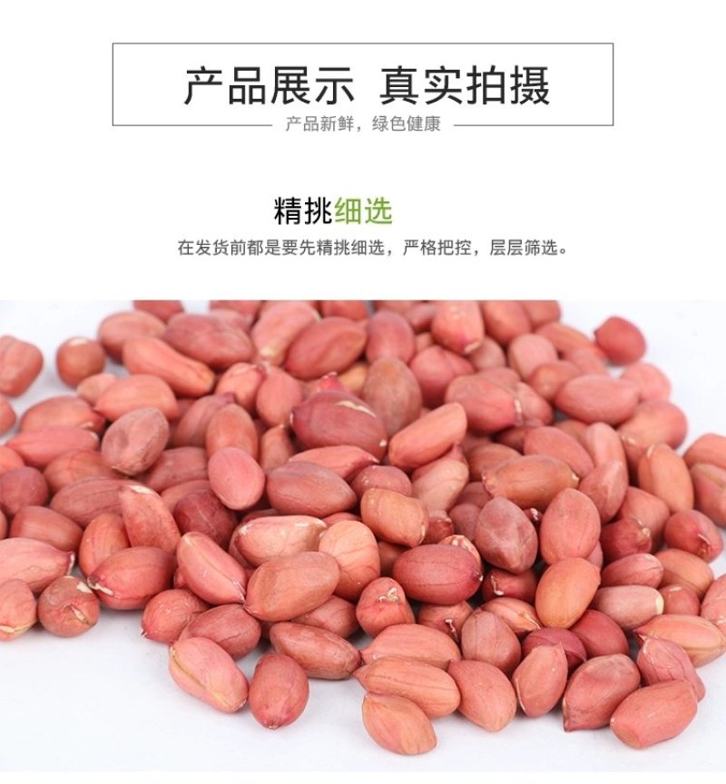 山东大粒花生米5斤新生散装农家自产手工剥新货去壳生花生
