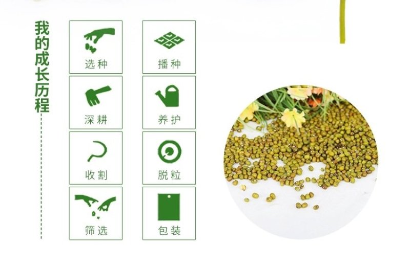 去壳绿豆小绿豆老品种毛绿豆5斤绿豆爽绿豆粥夏季消暑绿豆汤