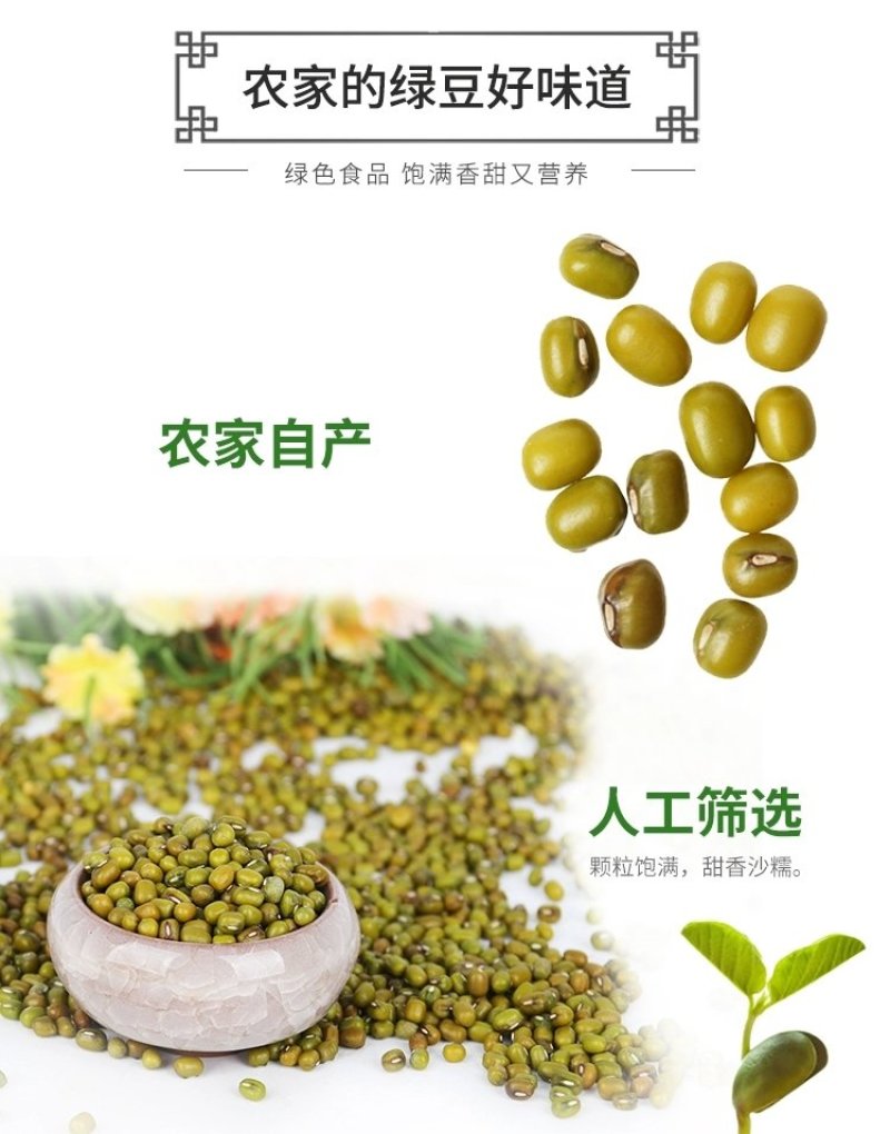去壳绿豆小绿豆老品种毛绿豆5斤绿豆爽绿豆粥夏季消暑绿豆汤