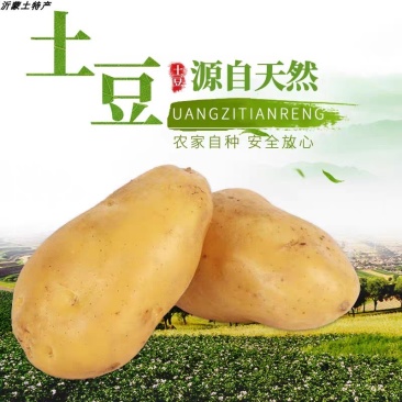 新土豆淀粉家用食用黄皮黄心粉土豆20年新鲜多用5斤装大土