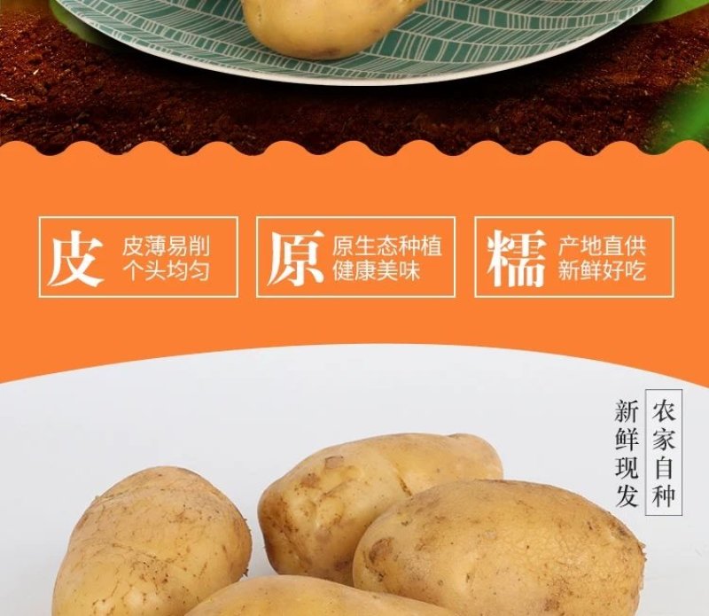 新土豆淀粉家用食用黄皮黄心粉土豆20年新鲜多用5斤装大土
