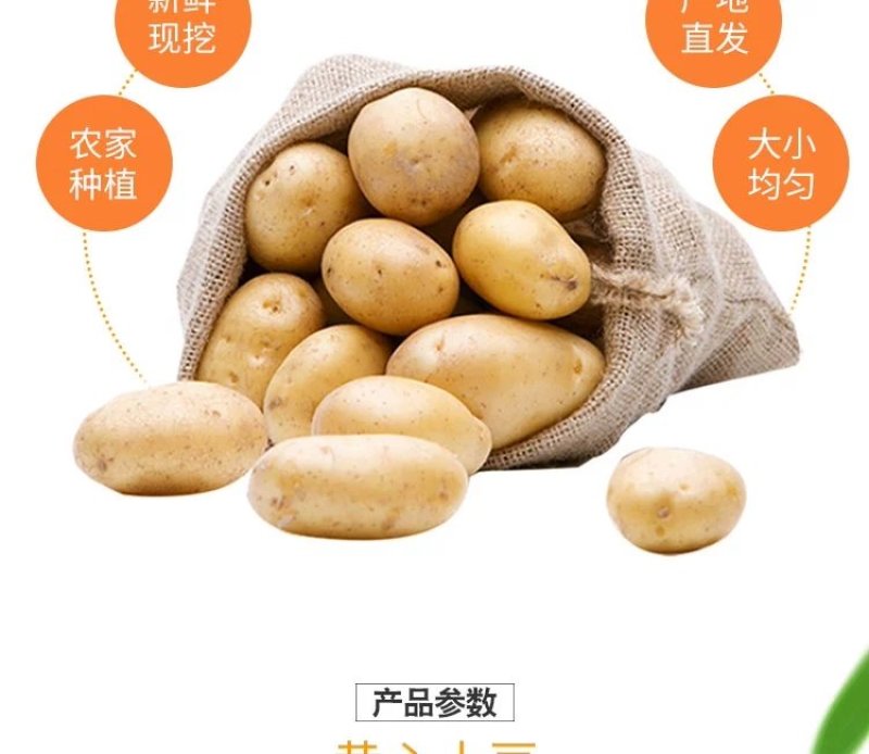 新土豆淀粉家用食用黄皮黄心粉土豆20年新鲜多用5斤装大土