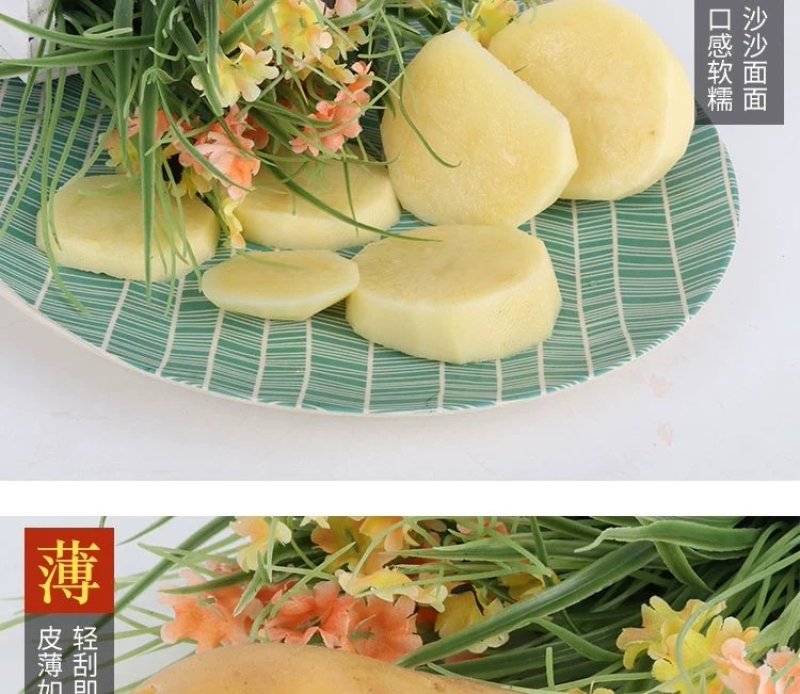 新土豆淀粉家用食用黄皮黄心粉土豆20年新鲜多用5斤装大土