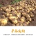 新土豆淀粉家用食用黄皮黄心粉土豆20年新鲜多用5斤装大土