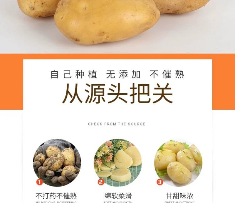 新土豆淀粉家用食用黄皮黄心粉土豆20年新鲜多用5斤装大土