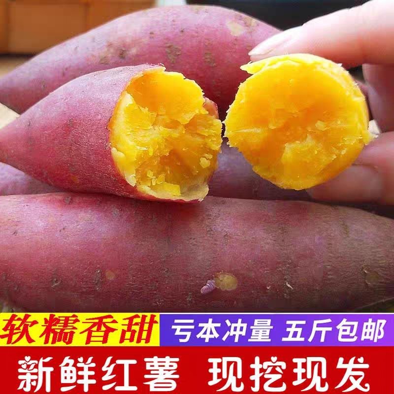 沂蒙香薯沙地红薯新鲜个大红心蜜薯农家自种大香薯5斤烤地瓜