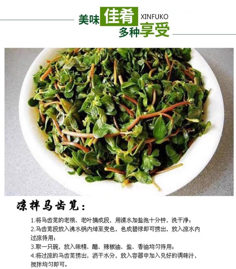 马齿笕地菜新鲜天然地菜新鲜蚂蚱菜长寿菜儿时记忆鲜野菜现挖