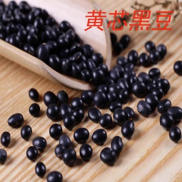 黄芯黑豆农家自种2500g大粒豆五谷杂粮
