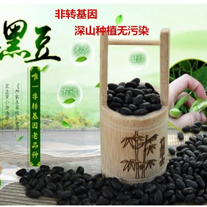 黄芯黑豆农家自种2500g大粒豆五谷杂粮