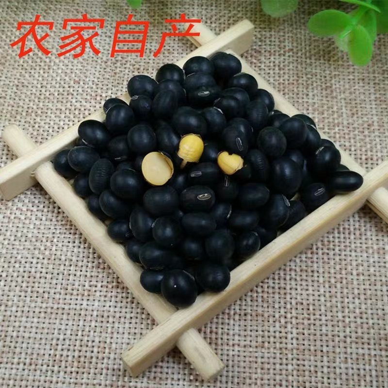 黄芯黑豆农家自种2500g大粒豆五谷杂粮