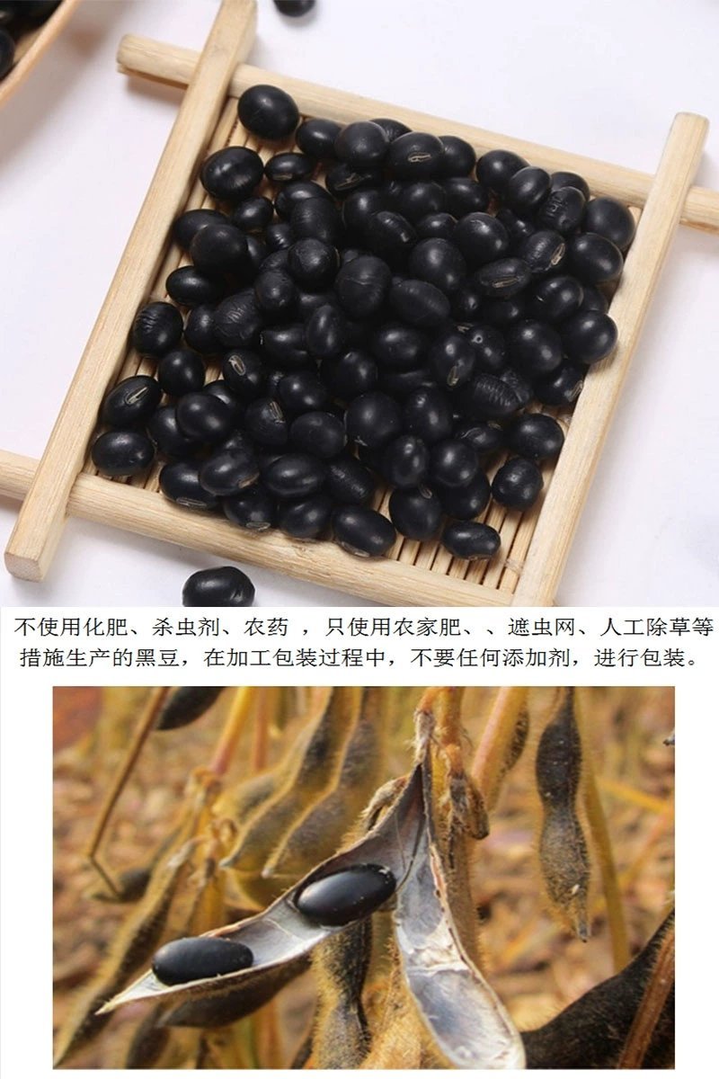 黄芯黑豆农家自种2500g大粒豆五谷杂粮