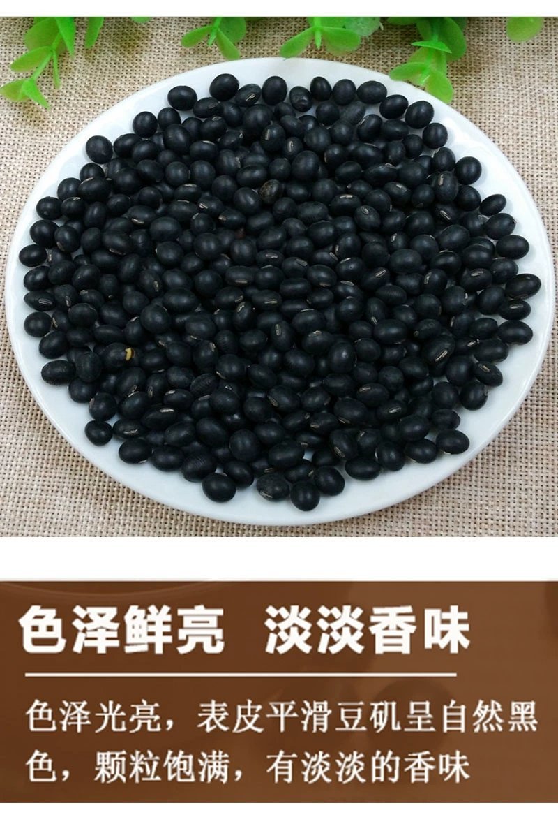 黄芯黑豆农家自种2500g大粒豆五谷杂粮
