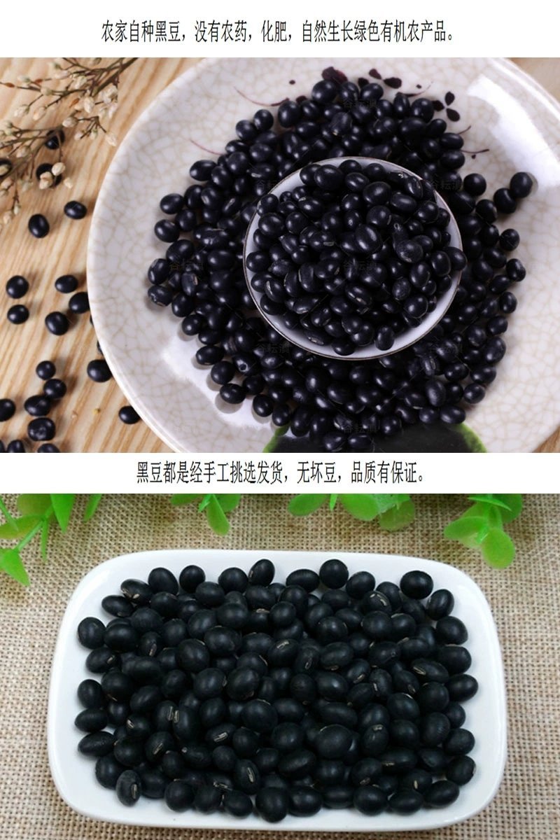 黄芯黑豆农家自种2500g大粒豆五谷杂粮