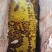 云南普洱江城野生树洞里蜂蜜甜量大价格优惠批发零售