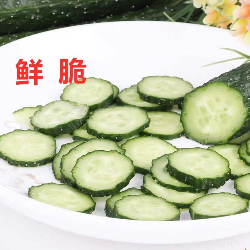 香脆黄瓜5斤装带刺生吃小黄瓜应季蔬菜乳黄瓜凉拌黄瓜