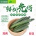 香脆黄瓜5斤装带刺生吃小黄瓜应季蔬菜乳黄瓜凉拌黄瓜