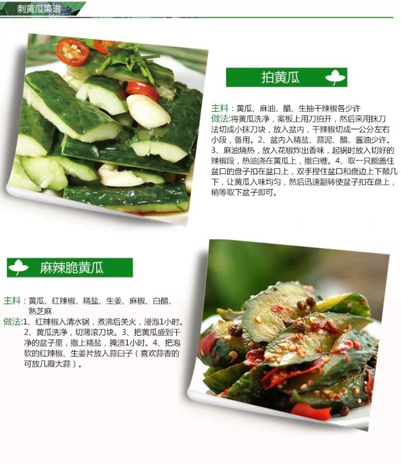 香脆黄瓜5斤装带刺生吃小黄瓜应季蔬菜乳黄瓜凉拌黄瓜