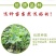 香脆黄瓜5斤装带刺生吃小黄瓜应季蔬菜乳黄瓜凉拌黄瓜