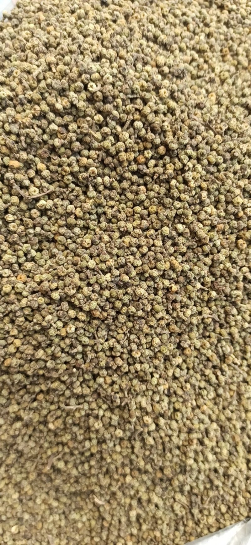 吴茱萸各种规格批发零售中药材品质保证