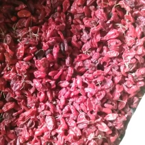 山萸肉新货产地销新货质量可靠她不满意保退换