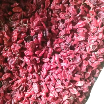 山萸肉新货产地销新货质量可靠她不满意保退换