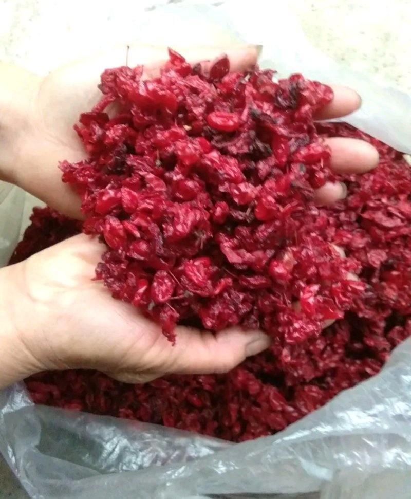 山萸肉新货产地销新货质量可靠她不满意保退换