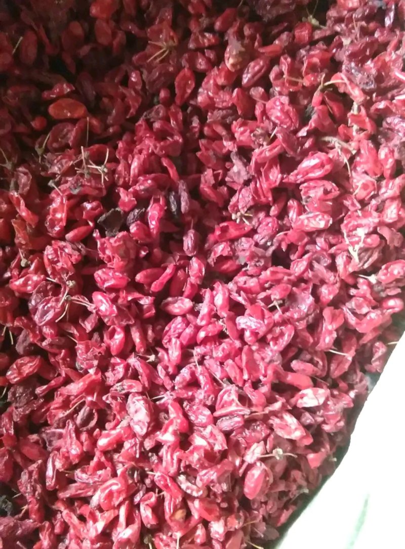 山萸肉新货产地销新货质量可靠她不满意保退换