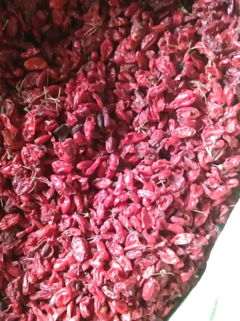 山萸肉新货产地销新货质量可靠她不满意保退换