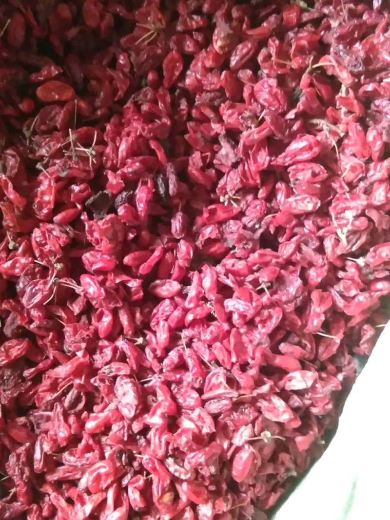 山萸肉新货产地销新货质量可靠她不满意保退换