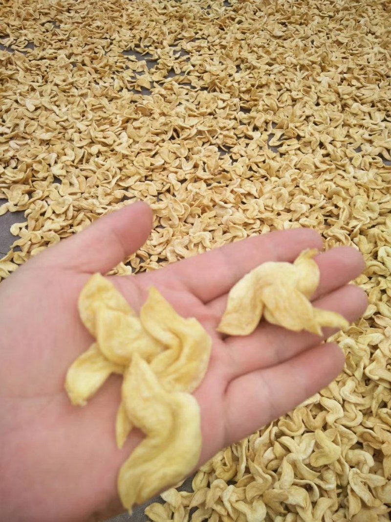 素鸡，素鸡翅，豆制品，花翅，蛋白肉，厂家直销