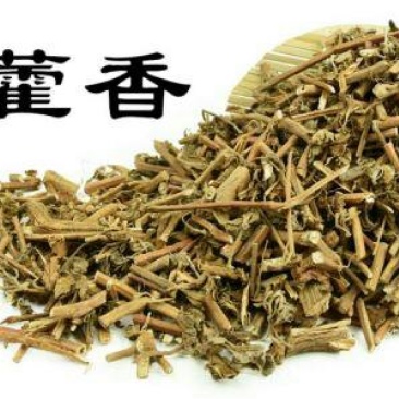 广藿香，常年批发供应藿香，中药材